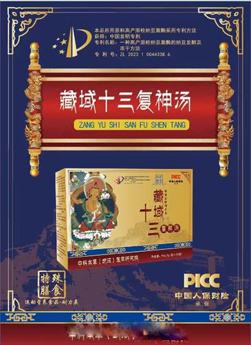 藏域十三復神湯